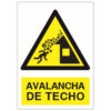 Avalancha de Techo
